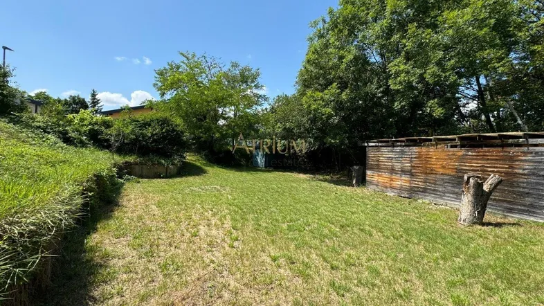 Gepflegte Rasenfläche im Garten mit altem Baumbestand und einer Holzkonstruktion unter blauem Himmel.