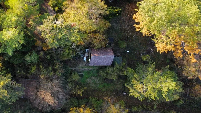 Luftaufnahme eines kleinen Hauses, umgeben von dichtem Baumbestand und viel Grün.