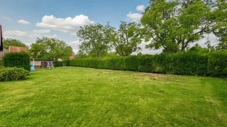 Großer, gepflegter Rasenbereich mit hoher Hecke und Bäumen im Hintergrund, ideal für Freizeitaktivitäten.
