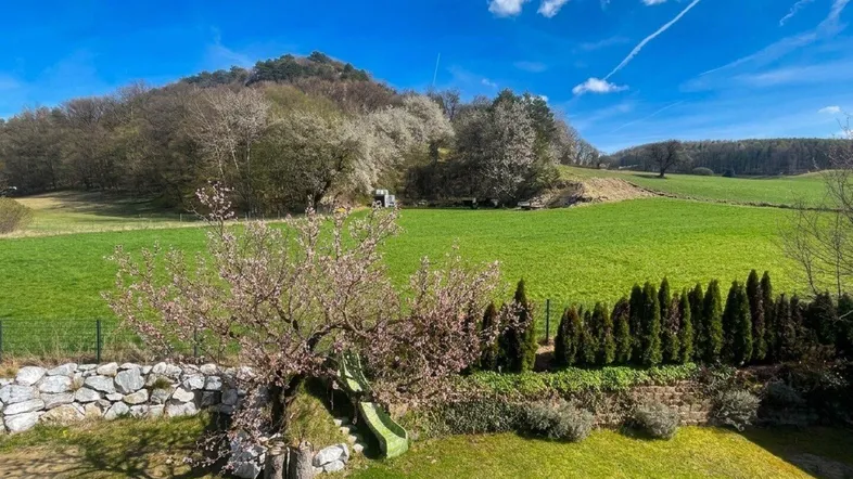 Grüner Garten mit blühendem Baum, kleiner Rutsche und weitem Blick auf die umliegende Landschaft.