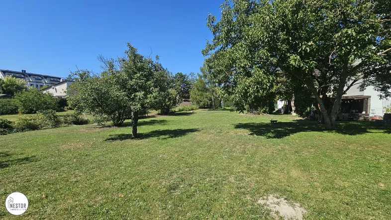 Großer, sonniger Gartenbereich mit Rasenfläche und mehreren Bäumen, ideal zum Entspannen im Freien.