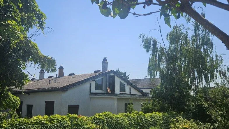 Ansicht des Hauses von außen, umgeben von üppigem Grün und Bäumen unter blauem Himmel.