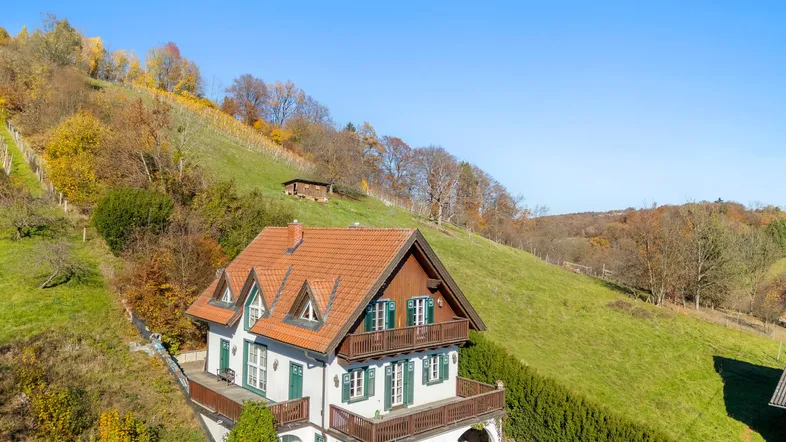 Charmantes Landhaus in Hanglage mit traditioneller Architektur und umliegenden Weinbergen.