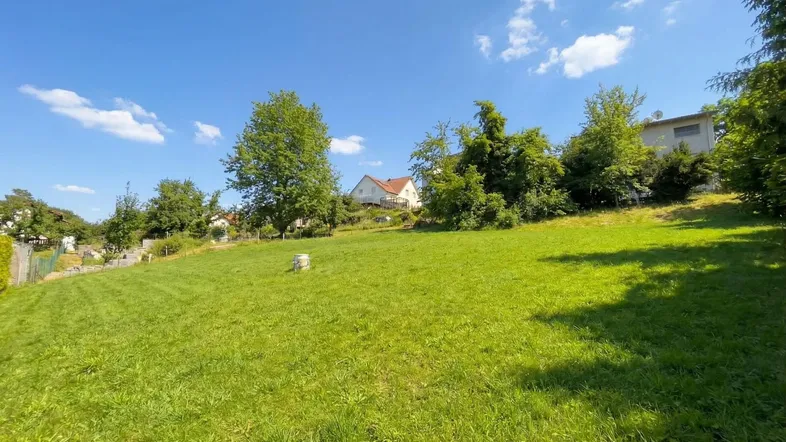 Große, sonnige Grünfläche mit leichter Hanglage und Blick auf umliegende Häuser.