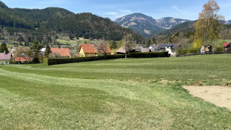 Weitläufige grüne Wiesen mit Blick auf die umliegende Berglandschaft und vereinzelte Häuser.