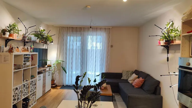 Helles Wohn- und Esszimmer mit Holzboden, gemütlichem Sofa und Esstisch, ideal für gesellige Stunden.