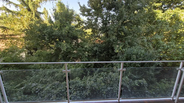 Geräumiger Balkon mit Glasgeländer und üppigem Grünblick, ideal zum Entspannen im Freien.