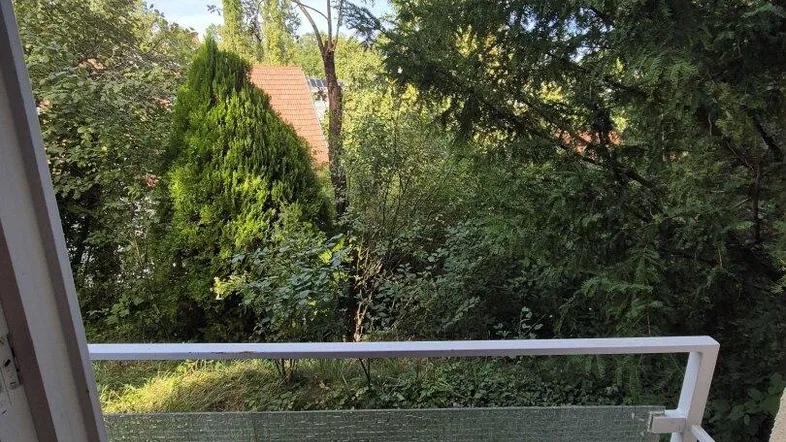 Blick vom Balkon ins Grüne mit Bäumen und blauem Himmel, der eine ruhige Atmosphäre schafft.