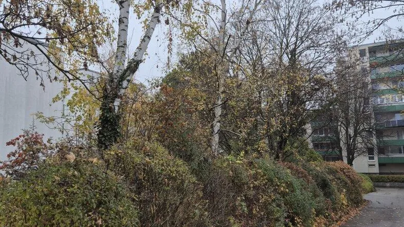 Herbstliche Szene mit Bäumen, Sträuchern und Laub auf einem Weg vor einem Gebäude.