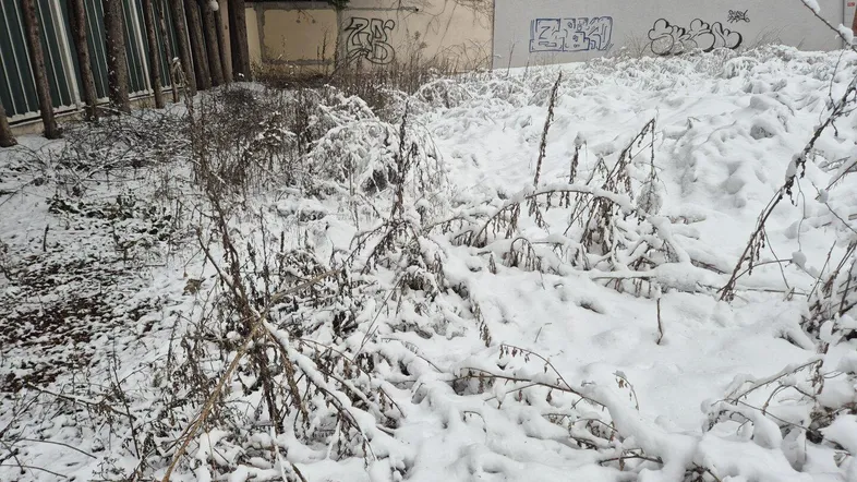 Verschneites Außengelände mit kahlen Sträuchern und Gebäuden im Hintergrund, teilweise mit Graffiti.