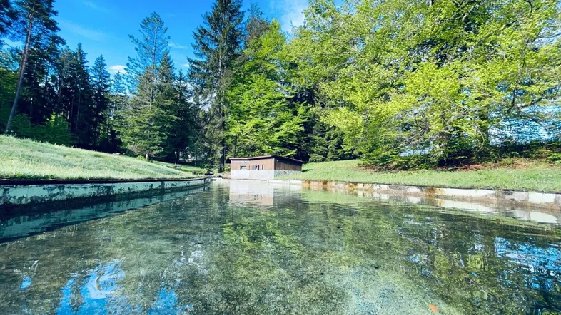 Klares Wasserbecken in einer grünen Waldlandschaft mit einem kleinen Holzhaus im Hintergrund.