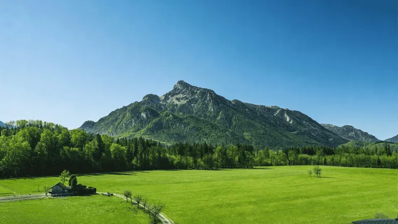 Weitläufige grüne Landschaft mit majestätischem Berg im Hintergrund und einem kleinen Haus am Waldrand.