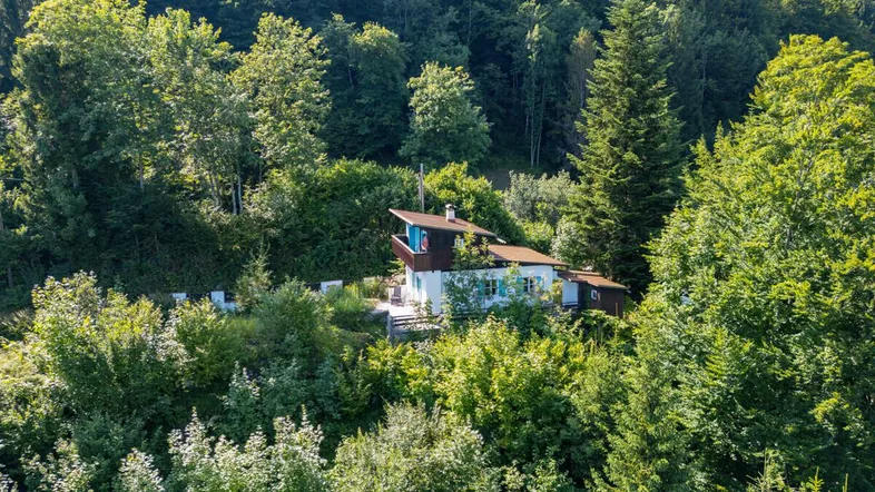 Luftaufnahme eines charmanten Hauses, eingebettet in eine üppige grüne Waldlandschaft mit Bergblick.