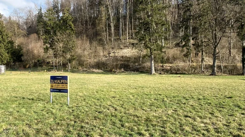 Grünfläche mit 'Zu Kaufen'-Schild und bewaldetem Hintergrund, ideal für ein neues Zuhause.