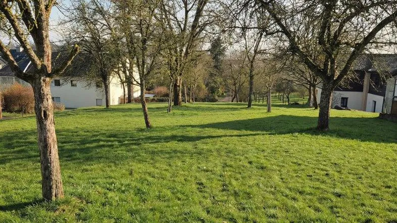 Weitläufige Grünfläche mit Bäumen und Häusern im Hintergrund unter blauem Himmel.