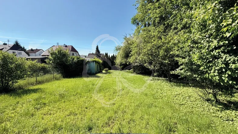 Großer Gartenbereich mit viel Grünfläche, umgeben von Bäumen und mit Blick auf umliegende Häuser.