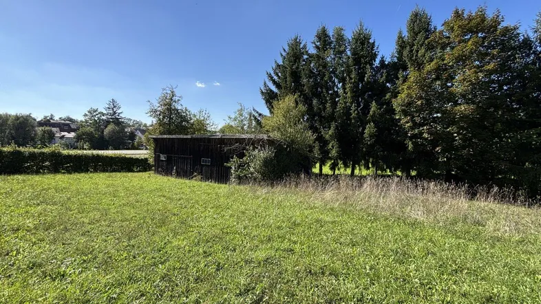 Weitläufige Grünfläche mit einem rustikalen Holzschuppen und hohen Bäumen im Hintergrund unter blauem Himmel.