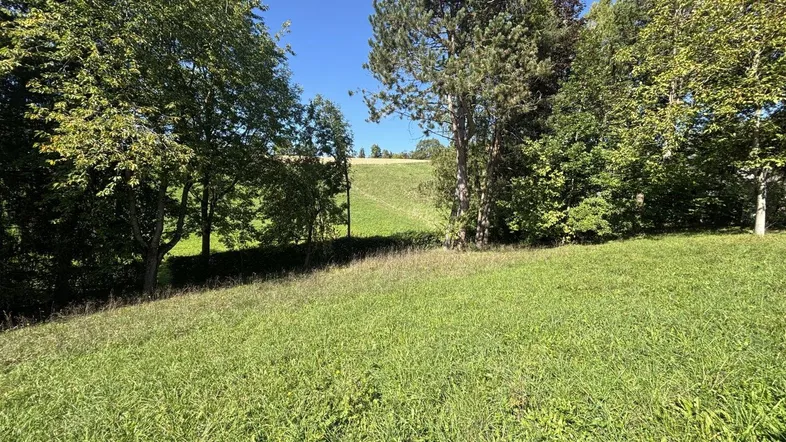 Sonniges Grundstück mit weitläufiger Rasenfläche und umgebenden Bäumen unter blauem Himmel.