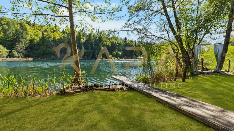 Grüner Gartenbereich direkt am Seeufer mit kleinem Holzsteg und üppiger Vegetation.