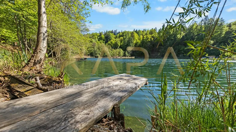 Idyllischer See mit Holzsteg und üppiger Vegetation unter blauem Himmel.