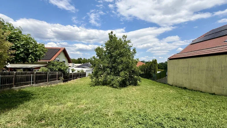 Grünfläche mit einem Baum und umliegenden Wohnhäusern unter blauem Himmel.