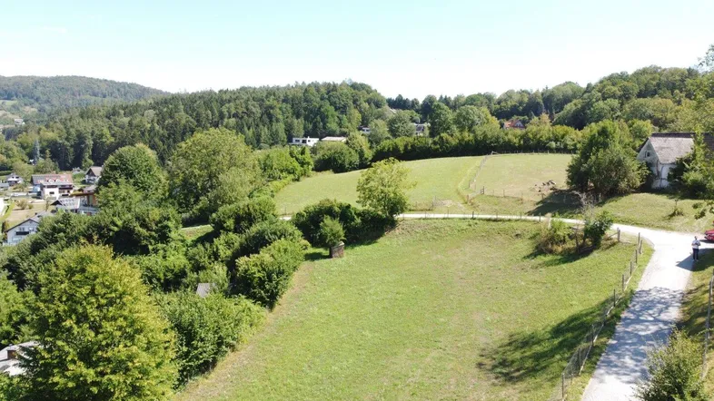 Luftaufnahme einer ländlichen Landschaft mit grünen Wiesen, Bäumen und einem gewundenen Weg.
