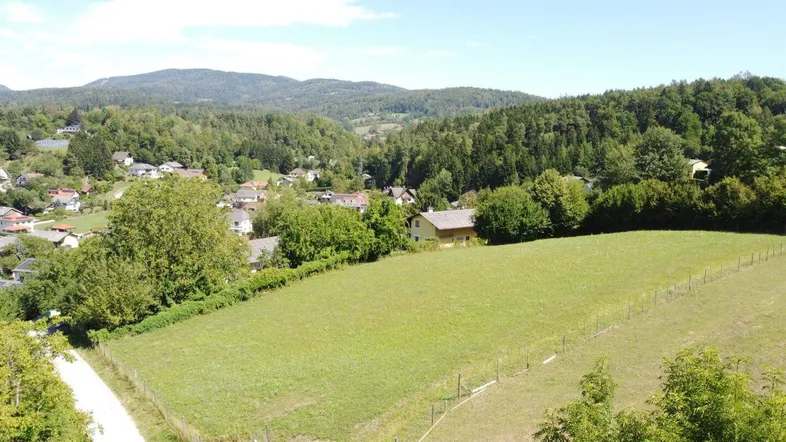 Luftaufnahme eines weitläufigen grünen Feldes mit angrenzendem Wald und Häusern in der Ferne.