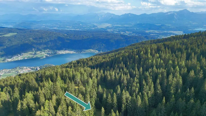 Luftaufnahme eines bewaldeten Berghangs mit einem See und Bergen im Hintergrund, ein Pfeil markiert eine Stelle.