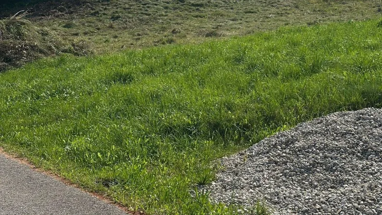 Grünes Grundstück mit Grasbewuchs und Schotterfläche, bereit für die Bebauung in ländlicher Umgebung.