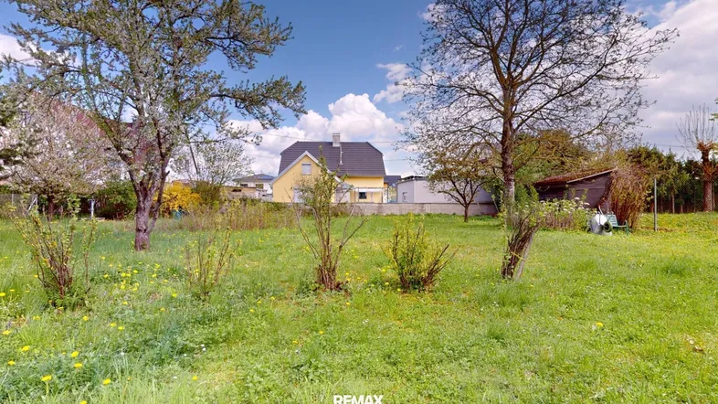 Großer Gartenbereich mit Rasenfläche, Bäumen und Blick auf umliegende Häuser.
