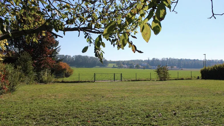 Weitläufiger Blick über grüne Felder und die umliegende Landschaft unter blauem Himmel.