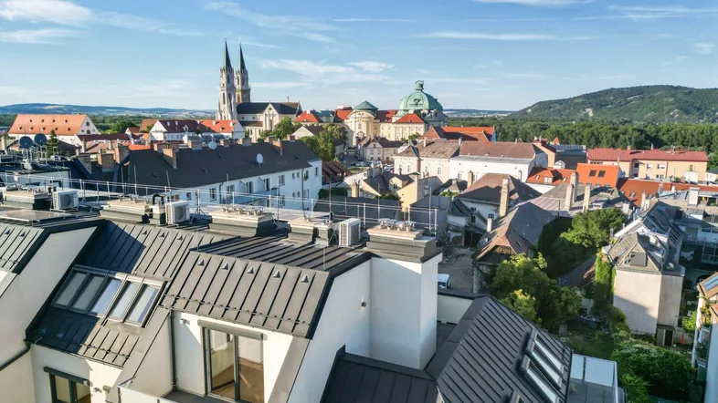 Panoramablick über die Stadt mit historischen Gebäuden und grünen Hügeln im Hintergrund.