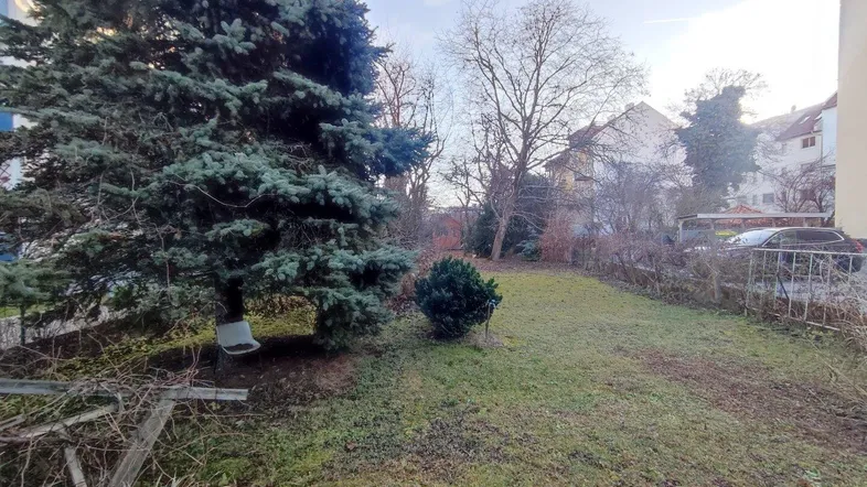 Gepflegter Gartenbereich mit Rasenfläche und hohen Nadelbäumen, umgeben von Wohngebäuden.