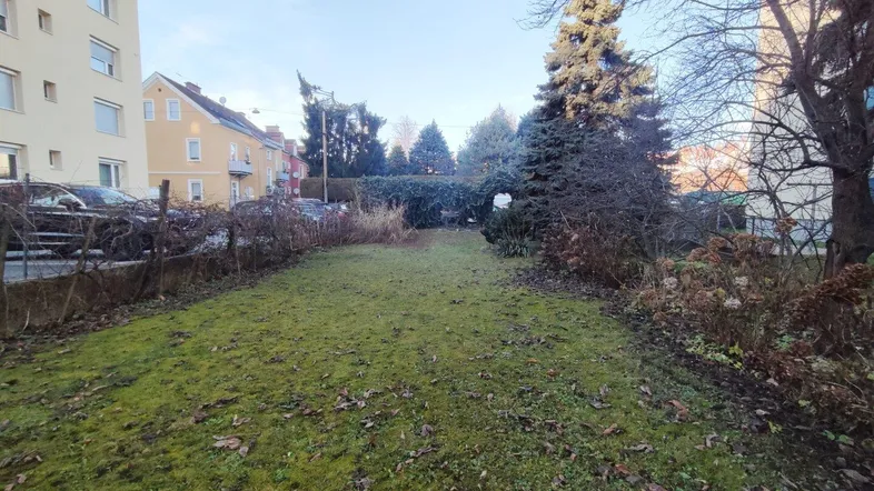 Gepflegte Rasenfläche mit Bäumen und Sträuchern, umgeben von Wohngebäuden in städtischer Umgebung.