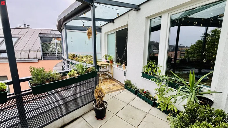 Große begrünte Terrasse mit Glasdach und Blick auf die umliegenden Gebäude.