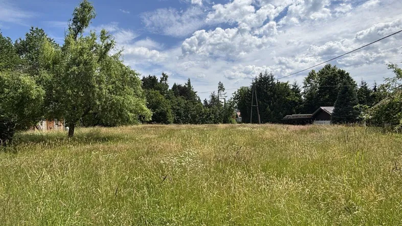 Weitläufiges Grundstück mit hohem Gras und Bäumen im Hintergrund unter blauem Himmel.