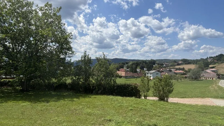 Weitläufige grüne Landschaft mit vereinzelten Häusern und Bäumen unter einem blauen Himmel.