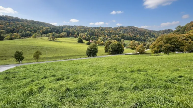 Weitläufige grüne Wiesen und sanfte Hügel unter blauem Himmel, umgeben von Bäumen.
