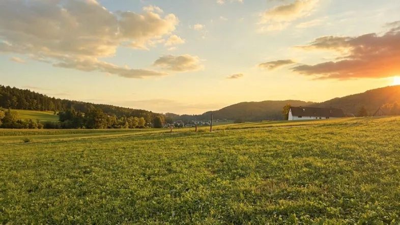 Weitläufiges grünes Feld mit sanften Hügeln und einem Haus in der Ferne bei Sonnenuntergang.