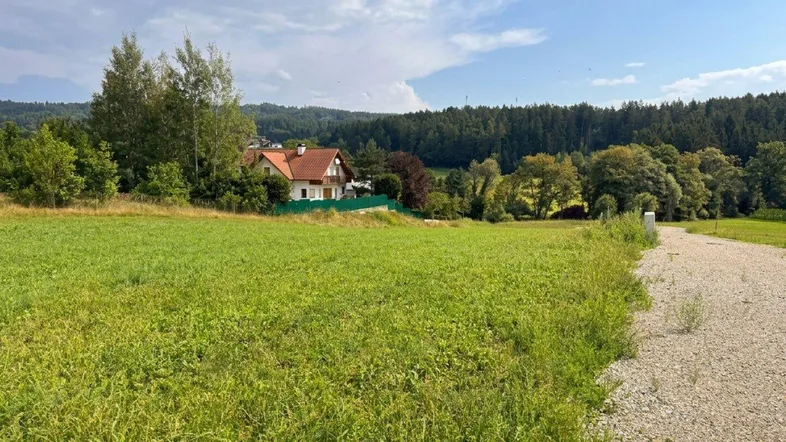 Ländliche Umgebung mit einem Haus im Hintergrund, umgeben von grünen Feldern und Wald.