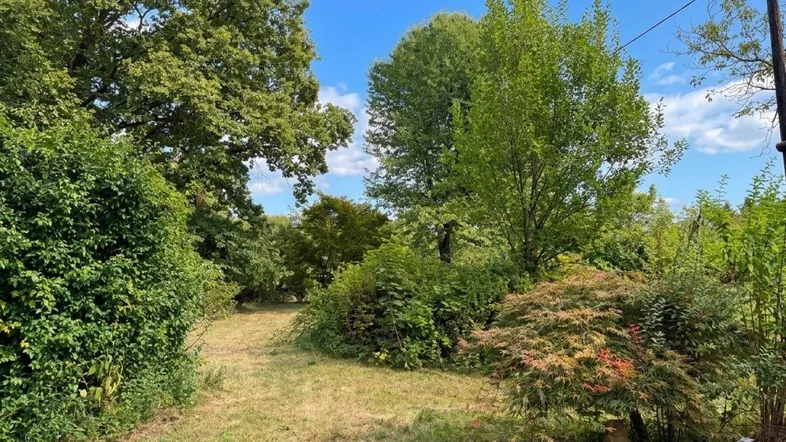Ein weitläufiger, grüner Gartenbereich mit verschiedenen Bäumen und Sträuchern unter blauem Himmel.