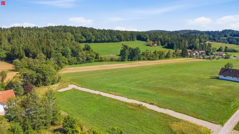 Weitläufige ländliche Landschaft mit Feldern, Wäldern und vereinzelten Häusern unter blauem Himmel.