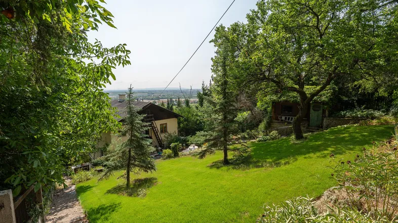 Grüner Garten mit Rasenfläche und Bäumen, im Hintergrund ein Haus mit Fernblick.