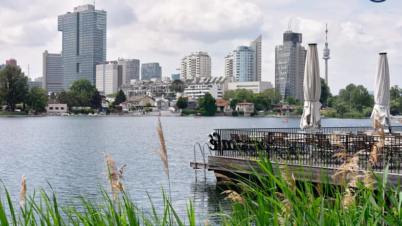 Blick über den See auf die Wiener Skyline mit einer Terrasse am Ufer und Schilf im Vordergrund.