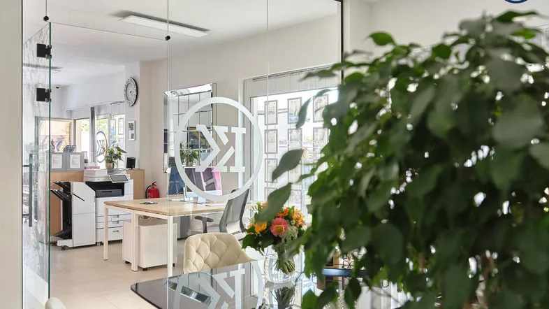 Modernes Büro mit Glaswänden, hellen Möbeln und einer großen Pflanze im Vordergrund.