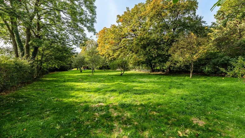 Große, gepflegte Rasenfläche umgeben von altem Baumbestand unter blauem Himmel.