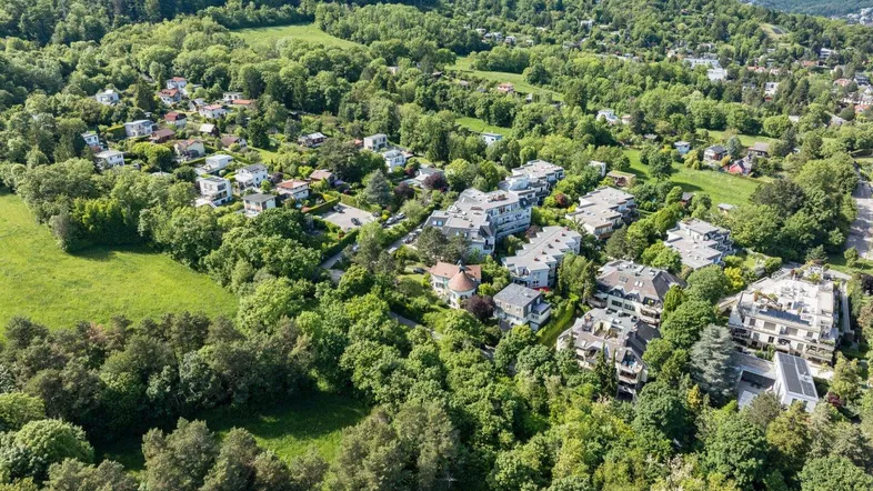 Luftaufnahme einer grünen Wohngegend mit vielen Häusern und üppiger Vegetation.