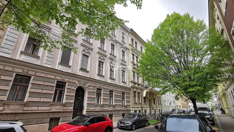 Blick auf die historische Fassade eines Altbaus mit Bäumen und parkenden Autos auf der Straße.