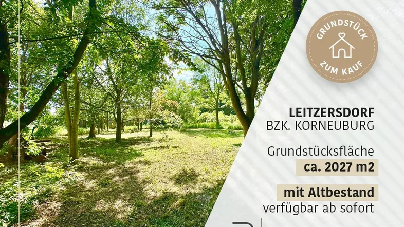 Grünes Grundstück mit altem Baumbestand und viel Potenzial in Leitzersdorf.