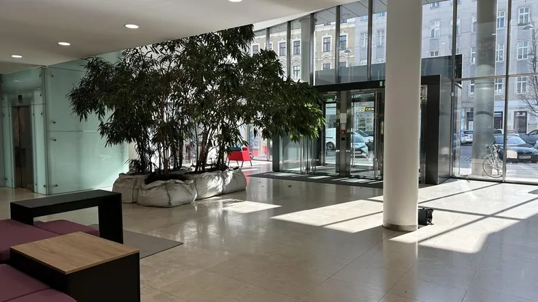 Geräumige und helle Lobby mit großen Fenstern, Fliesenboden und dekorativen Pflanzen.